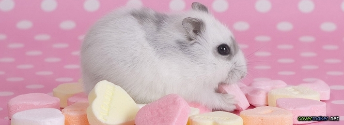 Pink Mouse Facebook Covers