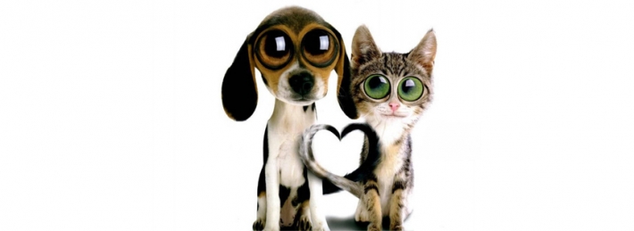 One Love Facebook Covers