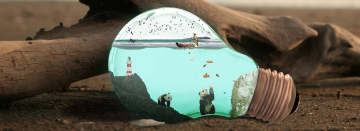 Pandas in the bulb Facebook Covers