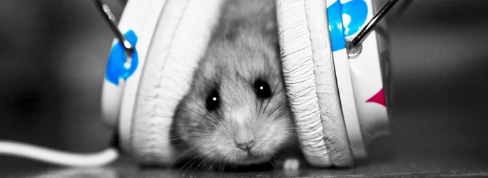 Mouse Headphones Facebook Covers