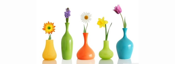 Colorul Flower Vases Facebook Covers