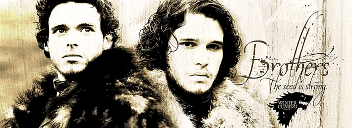 Game of thrones - Stark Brothers