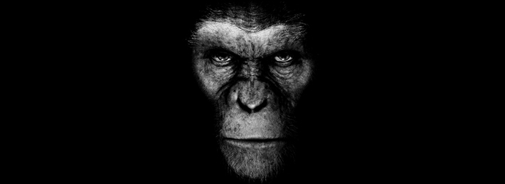 Rise Of The Planet Of The Apes